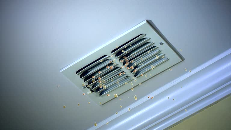 Best Affordable Air Duct Cleaning  in Forsyth, MT